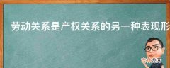 劳动关系是产权关系的另一种表现形式这该怎么理解?