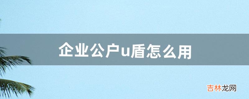 企业公户u盾怎么用（办好公户以后有u盾吗)