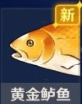 原神黃金鲈魚位置在哪