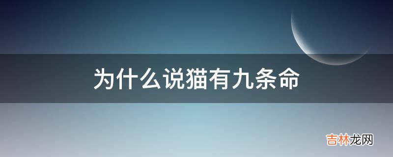 为什么说猫有九条命?