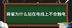 麻雀为什么站在电线上不会触电?