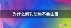 为什么哺乳动物不会生蛋?