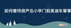 如何看待葫芦岛小学门前奥迪车肇事事件?