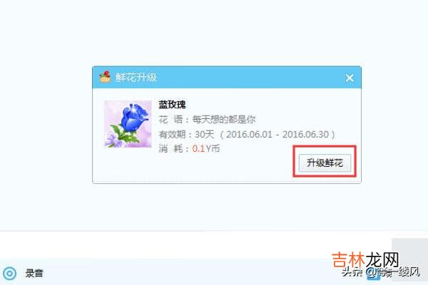 红玫瑰 YY语音的鲜花如何升级成为蓝色妖姬