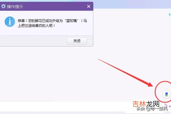 红玫瑰 YY语音的鲜花如何升级成为蓝色妖姬