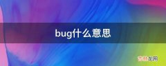 bug什么意思?