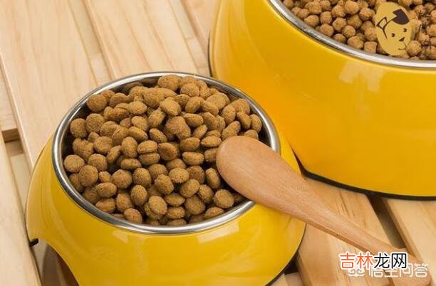 如何判断狗粮的好坏有什么误区(如何判断狗粮的质量)