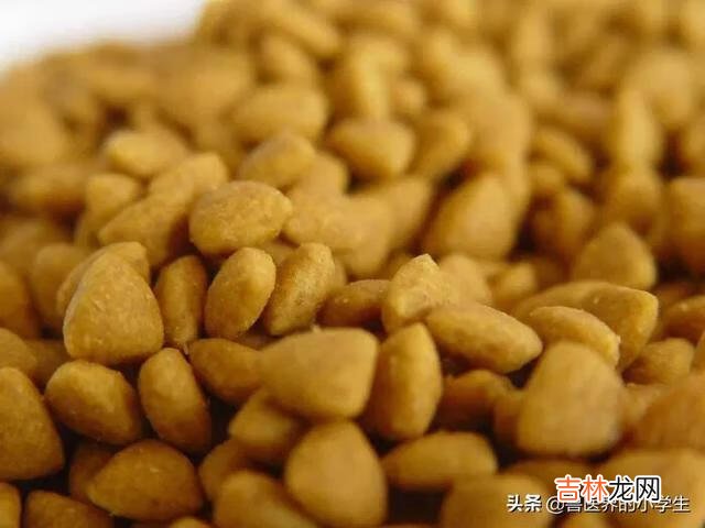 如何判断狗粮的好坏有什么误区(如何判断狗粮的质量)