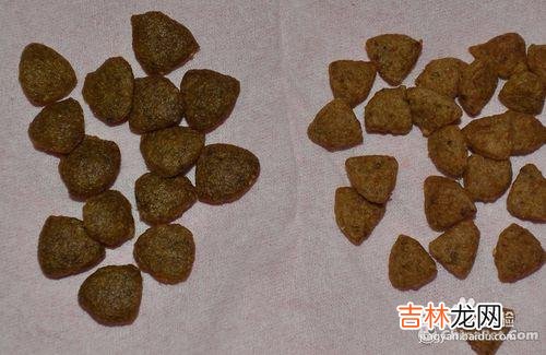 如何判断狗粮的好坏有什么误区(如何判断狗粮的质量)