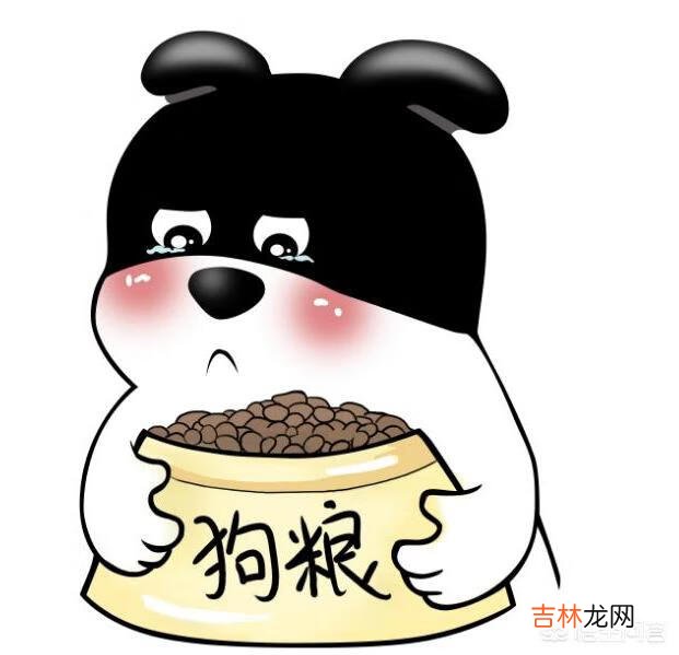 如何判断狗粮的好坏有什么误区(如何判断狗粮的质量)