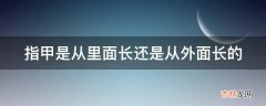 指甲是从里面长还是从外面长的?