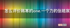 怎么评价韩寒的one.一个力的张皓宸大冰等人的作品?