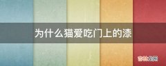 为什么猫爱吃门上的漆?