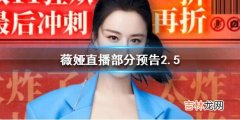 薇娅2.5直播什么