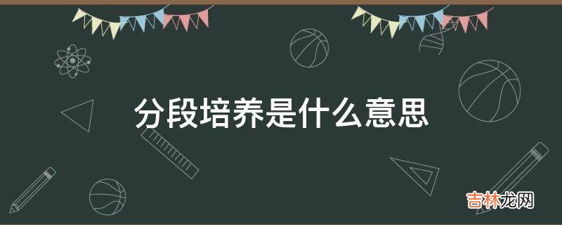 3+3分段培养是什么意思?