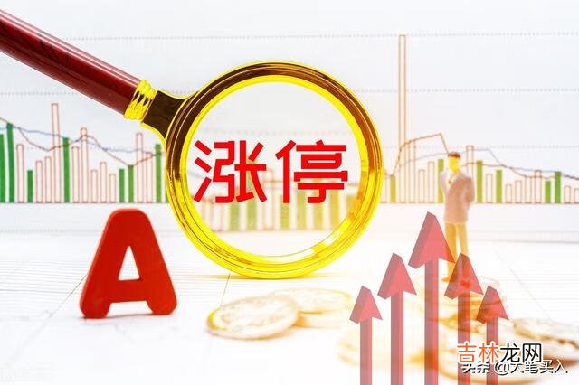 普通散户怎样才能在股市里赚钱(一生只玩一支股的人)