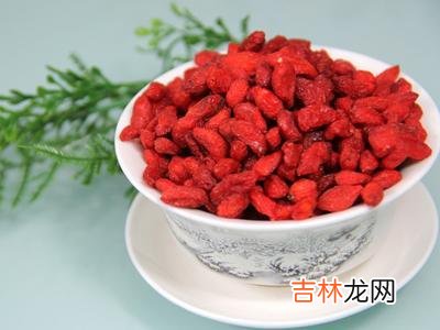 枸杞的功效与副作用及禁忌症是什么