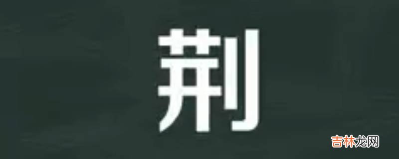 荆怎么读?