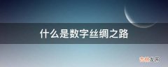 什么是数字丝绸之路?