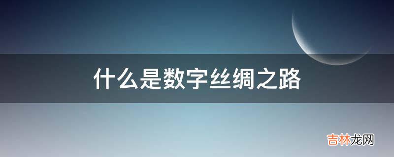 什么是数字丝绸之路?