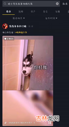 抖音你他妈的看什么出来单挑啊二哈视频分享