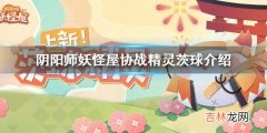 阴阳师妖怪屋茨球怎么样