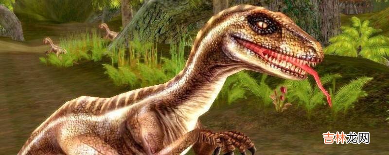 velociraptor是什么恐龙?