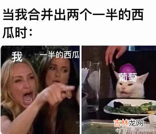 合成大西瓜搞笑表情包有哪些