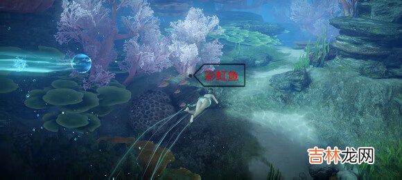 天谕手游鱼类图鉴大全