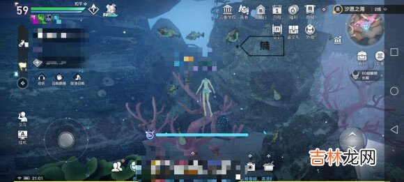 天谕手游鱼类图鉴大全