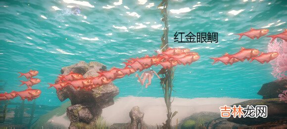 天谕手游鱼类图鉴大全