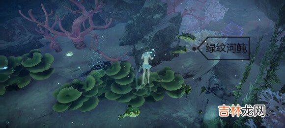 天谕手游鱼类图鉴大全