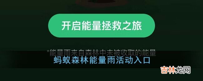 支付宝蚂蚁森林能量雨活动入口在哪里