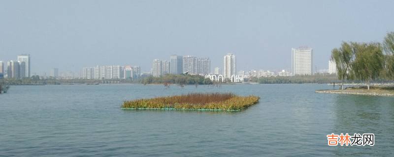 山阳区特色文化?