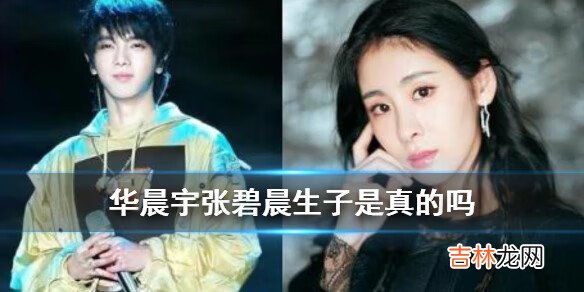 华晨宇张碧晨生子是真的吗