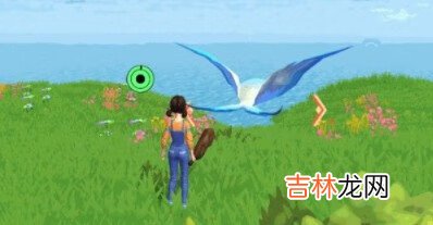 创造与魔法天空果实哪里分布最多分布位置介绍