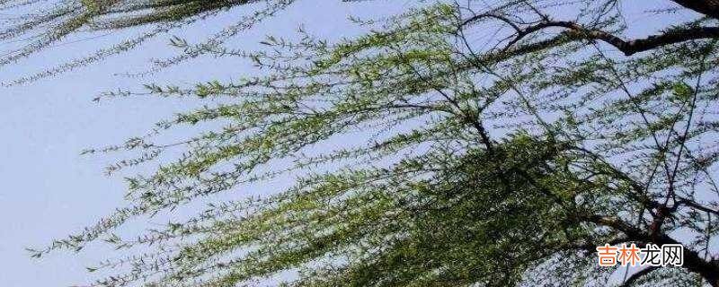 大风级别?