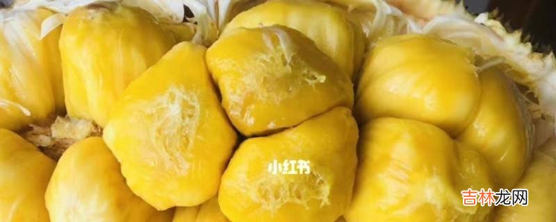 榴莲菠萝蜜是什么品种?