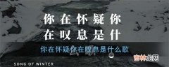 抖音你在怀疑你在叹息是什么歌