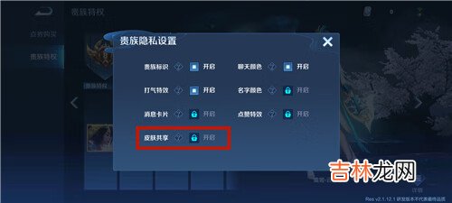 王者荣耀v10共享皮肤在哪