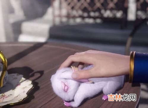 斗罗大陆第一季唐三和小舞的照片