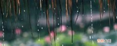 梅雨季节在哪些省?