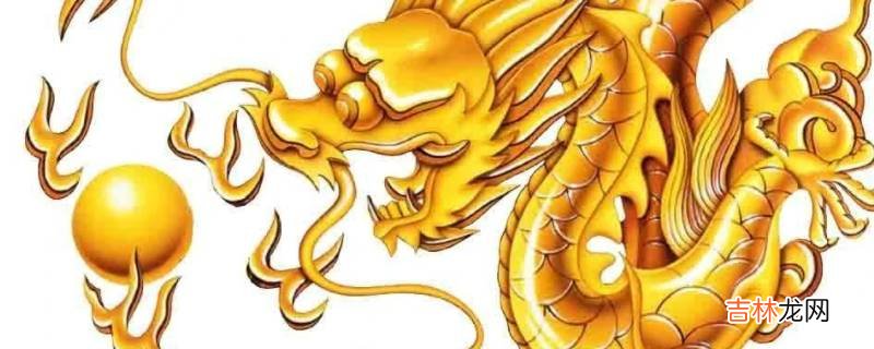 九爪金龙和五爪金龙的区别?
