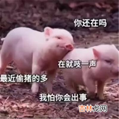 抖音他凶我的时候我愣住了连晚上找几个男模我都想好了表情包大全