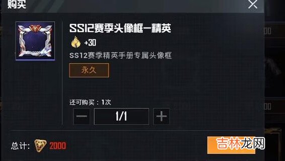 和平精英ss12特训套装怎么样