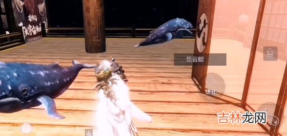 妄想山海腾影鲲在哪进