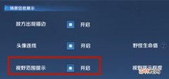 王者荣耀视野范围提示功能是什么