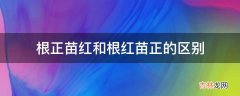 根正苗红和根红苗正的区别?