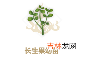妄想山海长生果油获取方法介绍