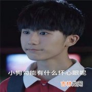 小狗勾能有什么坏心眼呢表情包大全